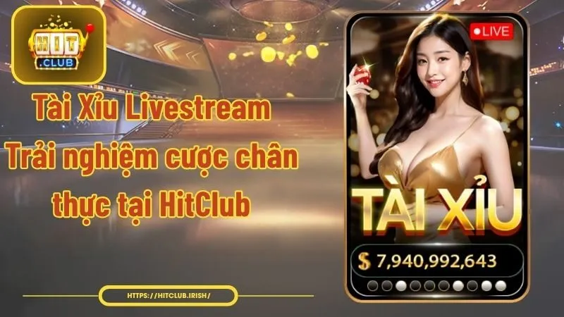 Tài Xỉu Livestream - Trải Nghiệm Cược Chân Thực Tại HitClub