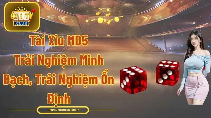 Tài Xỉu MD5 - Trải Nghiệm Minh Bạch, Trải Nghiệm Ổn Định