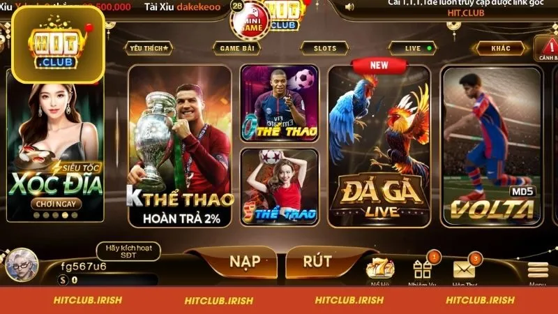 Thể thao – Sân chơi cá cược sôi động, đa dạng bộ môn